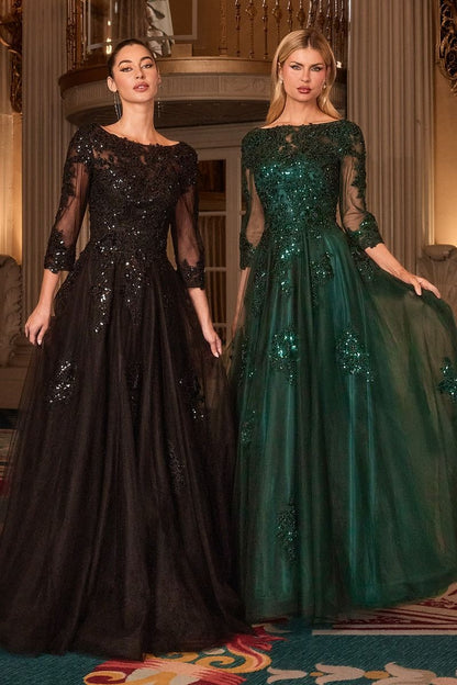 Ballgown Lace Sleeve Tulle Dress