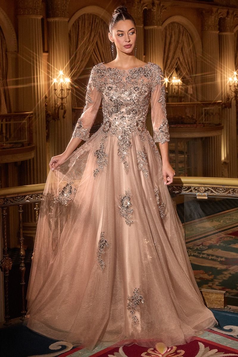Ballgown Lace Sleeve Tulle Dress