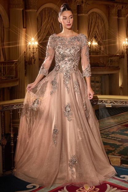 Ballgown Lace Sleeve Tulle Dress